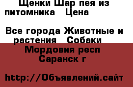 Щенки Шар пея из питомника › Цена ­ 25 000 - Все города Животные и растения » Собаки   . Мордовия респ.,Саранск г.